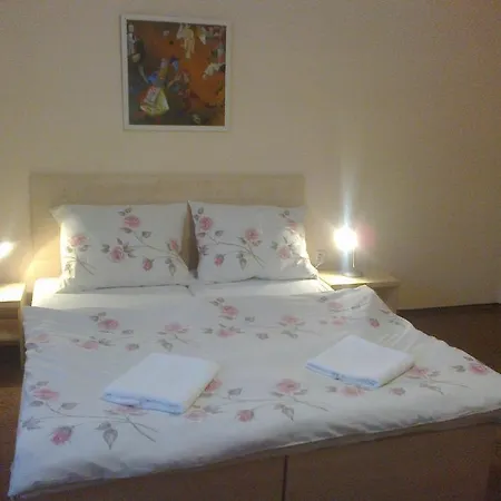 Iris Rajecke Teplice