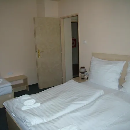 Iris Rajecke Teplice