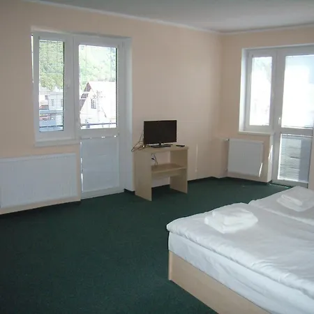 Penzion Iris ゲストハウス